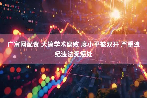 广富网配资 大搞学术腐败 廖小平被双开 严重违纪违法受惩处