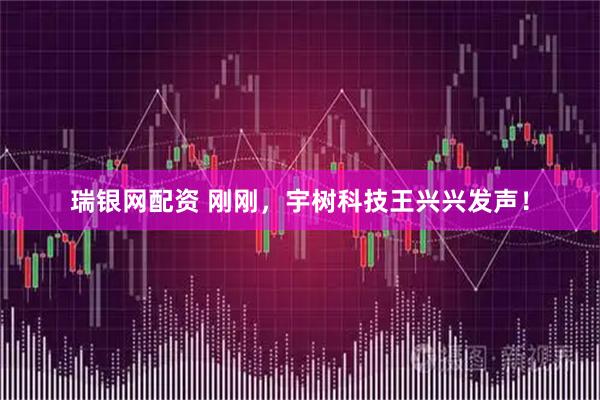 瑞银网配资 刚刚，宇树科技王兴兴发声！