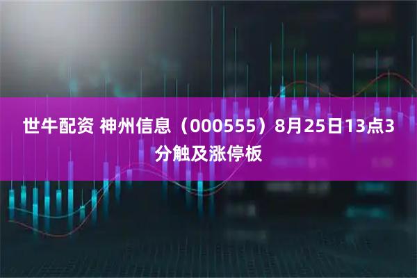 世牛配资 神州信息（000555）8月25日13点3分触及涨停板