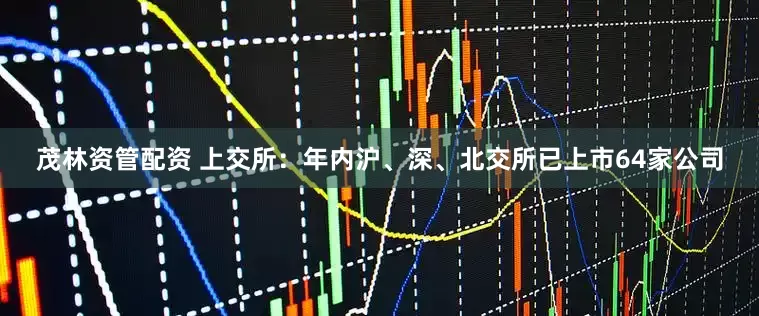 茂林资管配资 上交所：年内沪、深、北交所已上市64家公司