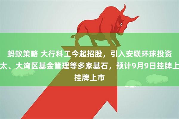 蚂蚁策略 大行科工今起招股，引入安联环球投资亚太、大湾区基金管理等多家基石，预计9月9日挂牌上市