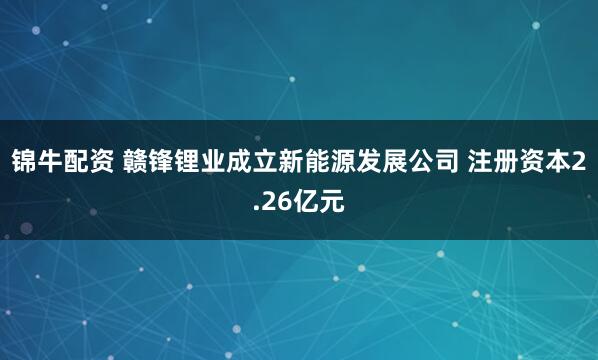 锦牛配资 赣锋锂业成立新能源发展公司 注册资本2.26亿元