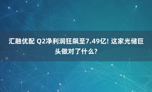 汇融优配 Q2净利润狂飙至7.49亿! 这家光储巨头做对了什么?