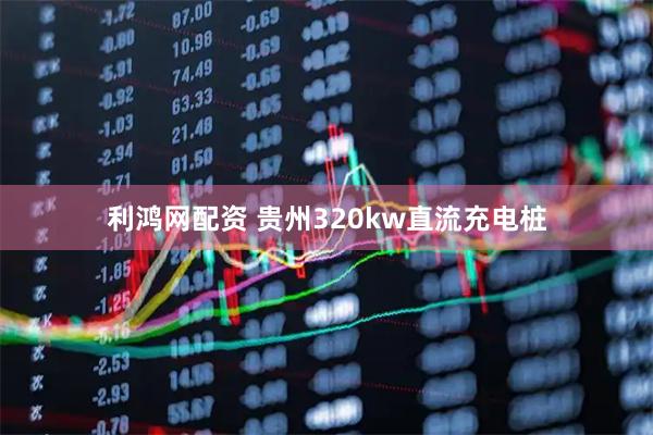 利鸿网配资 贵州320kw直流充电桩